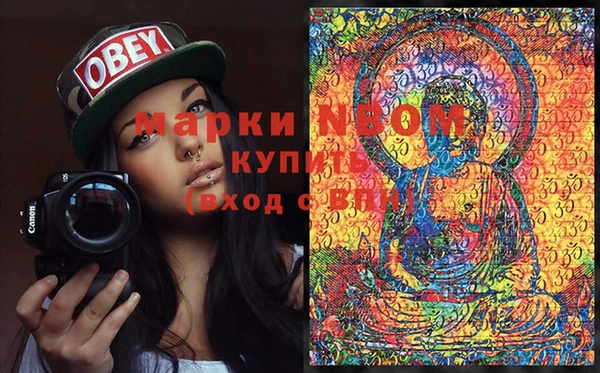 шишки Алексин