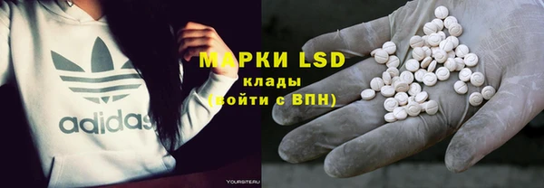 шишки Алексин