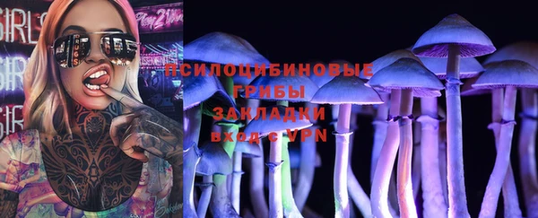крисы Алексеевка