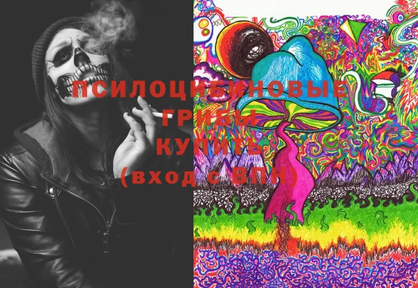 крисы Алексеевка