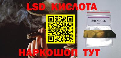 СК Новозыбков