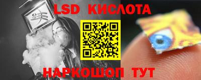 СК Новозыбков