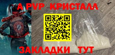СК Новозыбков