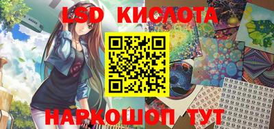 СК Новозыбков