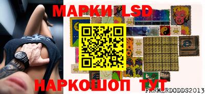 СК Новозыбков