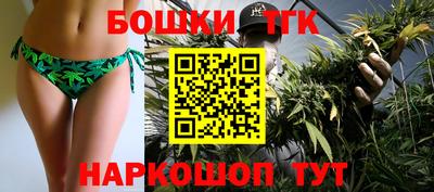 СК Новозыбков