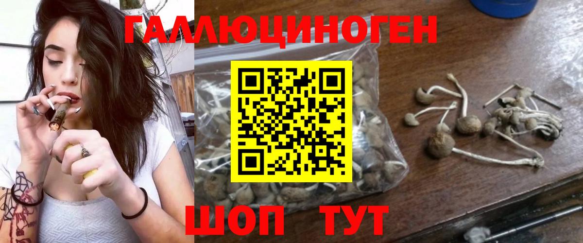 Тара  Псилоцибиновые грибы мухоморы  Вход с VPN  Галлюциногенные грибы Psilocybine cubensis 
