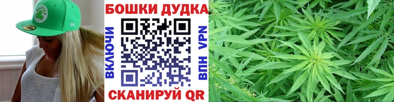 наркотики  Тара  Бошки марихуана OG Kush 